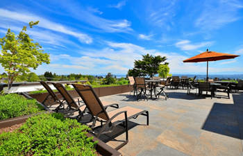 Roof top deck with fire pit and bbq's